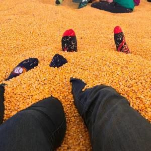 Meet your Posher, Thuy quynh